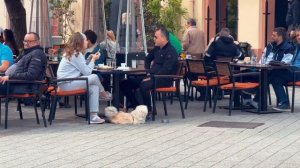 ЛУЧШИЙ ГОРОД для эмиграции. Переезд в Сербию: Где дешевле и комфортнее?