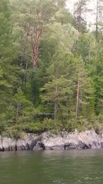 Остров влюбленных на Телецком озере, Горный Алтай ⛰️🛥️🏕️ #altai #siberia #nature смотреть онлайн