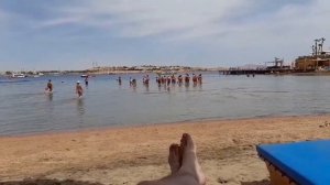 MARINA SHARM HOTEL 2024 #trevel #отель #обзор#туры  #египет