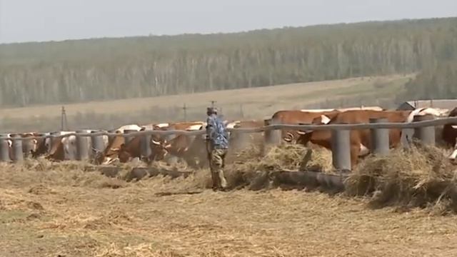 О хлебе насущном от 09.06.17 смотреть онлайн