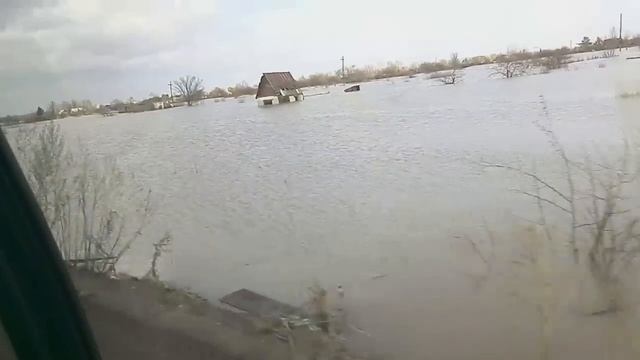 Темиртау, потоп на дачах. смотреть онлайн