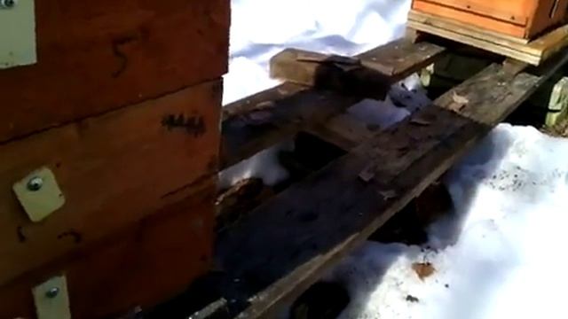 ульи УДав 05.04.18 (2) смотреть онлайн