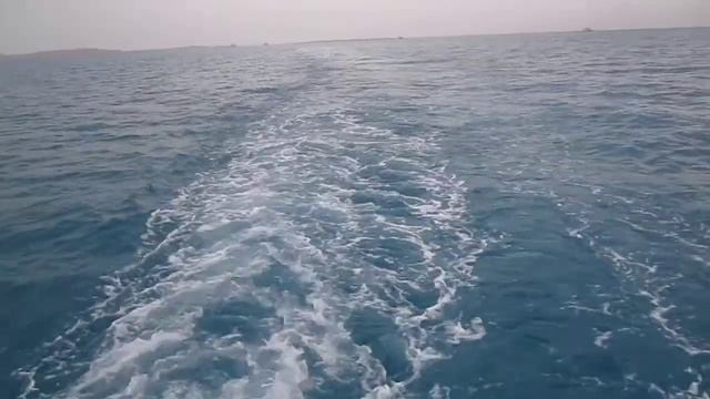 Египет 14 смотреть онлайн