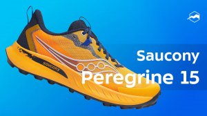Кроссовки Saucony Peregrine 15