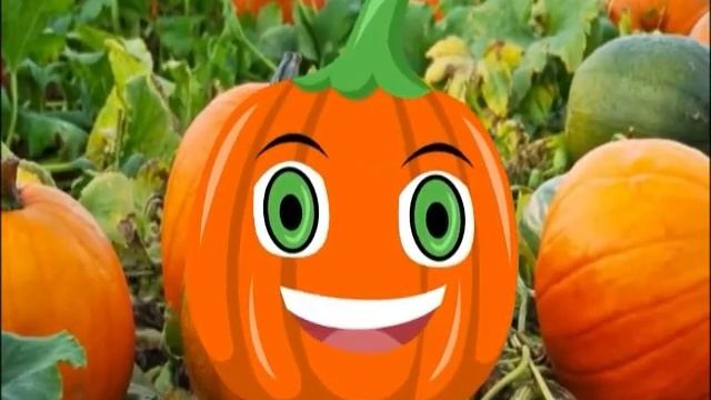 Реклама Фестиваля "Золотая осень Северобайкалья" смотреть онлайн