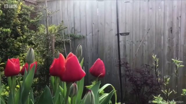 Gardeners World 2021 Episode 06