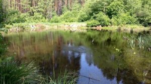 🔥ЧТО БУДЕТ ЕСЛИ ВЗОРВАТЬ ПУЛЕМЕТНУЮ ЛЕНТУ В ВОДЕ 🔴 ВЗРЫВАЕМ МНОГО ПЕТАРД В ВОДЕ