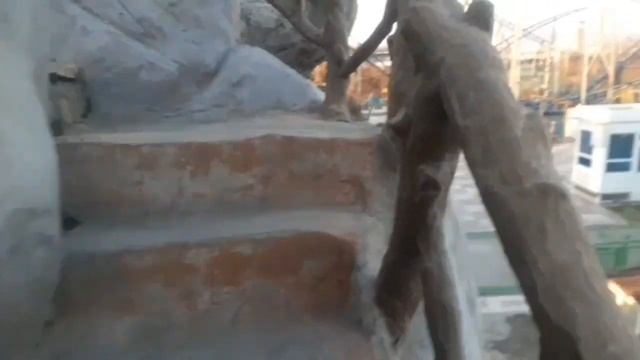 Тамошои Боғи Хаём. Парк Хаям центр. Dushanbe Tajikistan смотреть онлайн