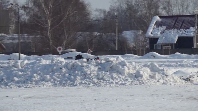 Раменский ипподром 03.03.2018 - Приз Сравнения. смотреть онлайн