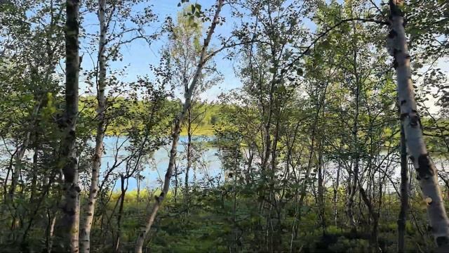 Экотропа "Беличий Хвост", Мурманск смотреть онлайн