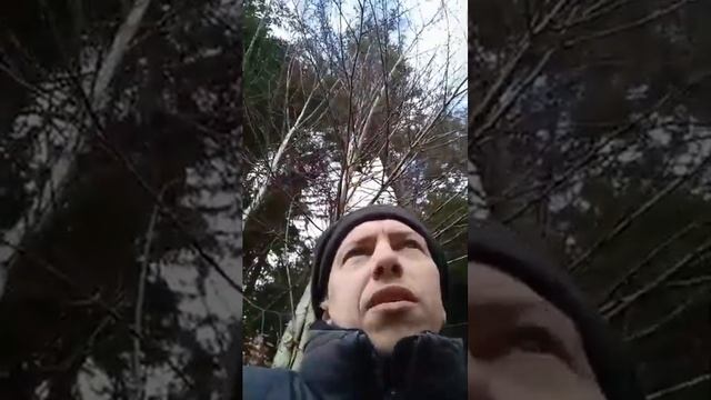 Границы отношений с собою, с партнером, с группой. смотреть онлайн