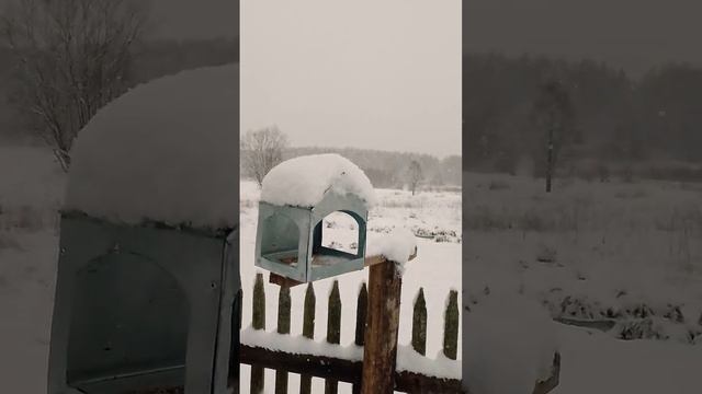 февраль в деревне в Смоленской области смотреть онлайн