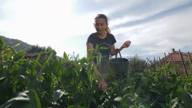 VIVACOM Регионален грант - Село назаем смотреть онлайн