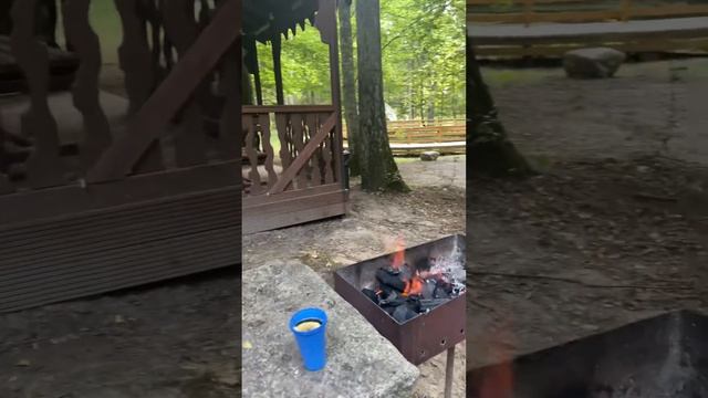 #калининградскаяобласть #мариновоозеро #глэмпинг #роминтскаяпуща #виштынец #турбазамариново смотреть онлайн