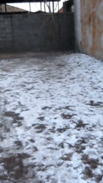 10 КИЛОГРАММ КУРИЦЫ !!! СЕГОДНЯ КАЖДЫЙ ПОЛУЧИТ ПО СВОЕМУ КУСОЧКУ !!! ПОДПИШИСЬ !!! ПОСТАВЬ ЛАЙК !!! смотреть онлайн