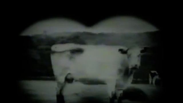 A black and white film - Axis Youth Project смотреть онлайн
