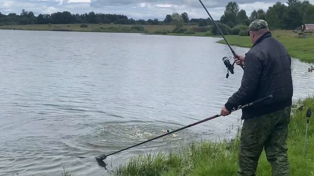 Ловим толстолобика в Симбухово (сработал планктон-топленое молоко) смотреть онлайн