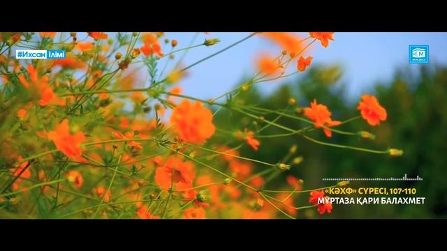 «Кәхф» сүресі | Әуезді Құран (Мұртаза қари Балахмет) смотреть онлайн