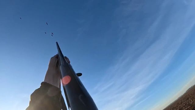 ОХОТА НА ГУСЯ В БЕЛАРУСИ!! ОТ ТАКОГО КОЛИЧЕСТВА ГУСЯ ГОЛОВА ШЛА КРУГОМ!!!! смотреть онлайн