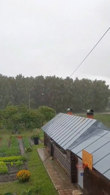 летний ливень #shorts #rain #ливень #дождь #ирэскаvlog смотреть онлайн
