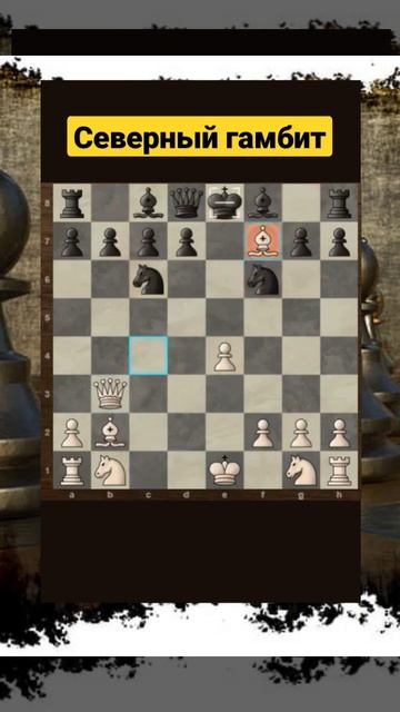 Шахматы. Северный гамбит #chess #шахматы #chorts смотреть онлайн