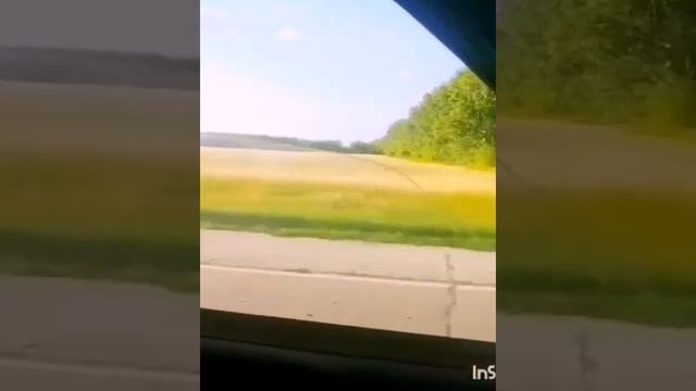 Видео бомба смотреть онлайн