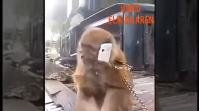 20 февраля 2018 г. смотреть онлайн