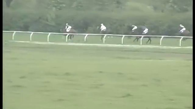 Скачка №2 Пробний приз смотреть онлайн