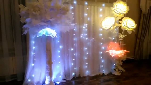 Оформление торжеств, Вологда на базе отдыха "Северное сияние" смотреть онлайн