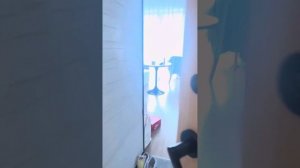 TSINGNENG LANDSCAPE COASTAL HOTEL 4*(Liking Hotel) Санья, остров Хайнань