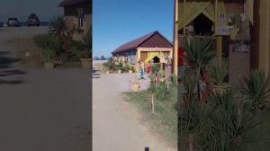 Дикая гавань  Бзыпь  шаумяна 50 Абхазия Алахадзы