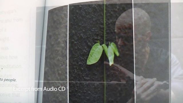 OSHO: Zen: Its History and Teachings (book promotion) смотреть онлайн