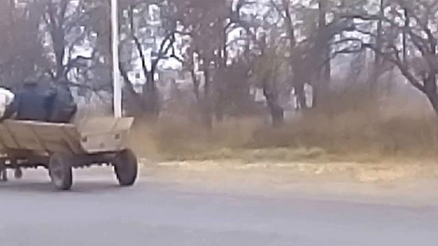 Прикол заправка м. Гадяч смотреть онлайн