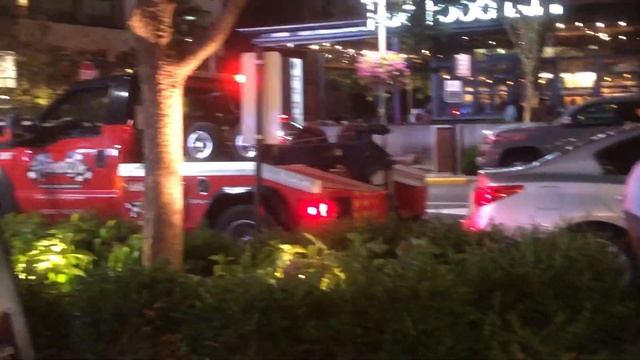 Отвоз на штрафную стоянку (штраф - $500) машин, припаркованных не по правилам - 24 августа 2024 № 2 смотреть онлайн