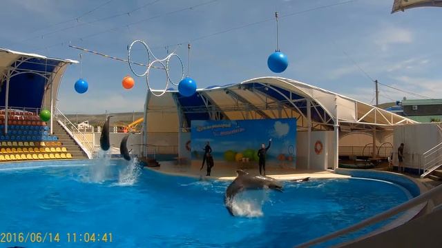 Крым Коктебель дильфинарий смотреть онлайн