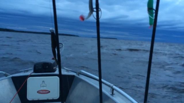 Рыбинка.Шторм.UMS500. смотреть онлайн