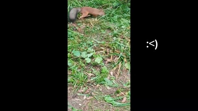 Я ВПЕРВЫЕ в МОСКВЕ! ВЛОГ из МОСКВЫ/ VLOG from MOSCOW смотреть онлайн