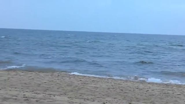 Каролино-Бугаз смотреть онлайн