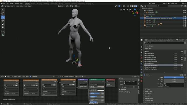 Female Custom Basemesh Lowpoly For Blender | User Guide