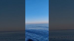 😉Абхазия, отель Нарт. Честный обзор. Все плюсы и минусы отеля🤔