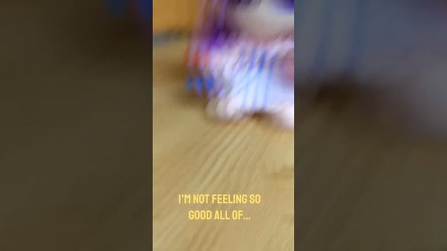 patchouli has had enough of Marisa смотреть онлайн