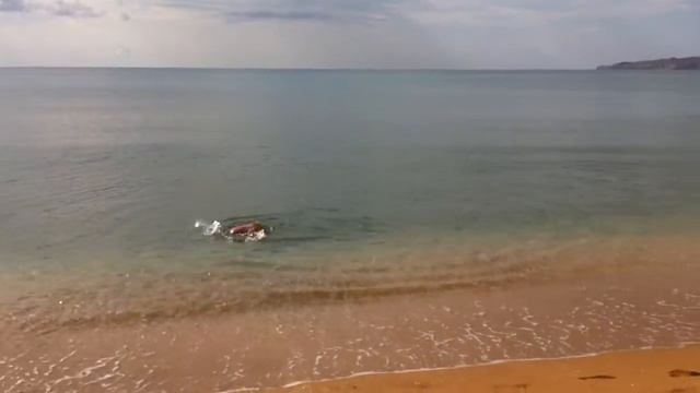 влог моя днюха я купаюсь утром смотреть онлайн
