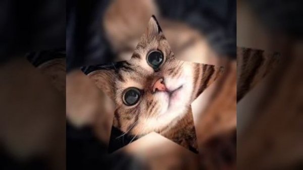 песня~ТАТУ НА ТЕЛЕ НОЧЬЮ В ОТЕЛЕ~