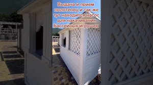 Алеан Геленджик июнь 2024