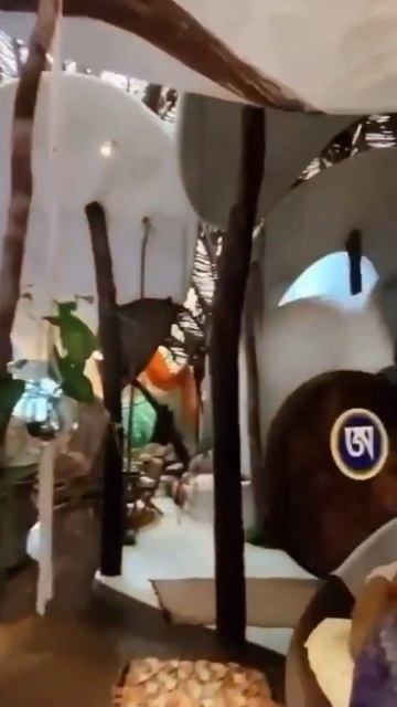 Отель Azulik Resort, Тулум. Мексика 🇲🇽 смотреть онлайн