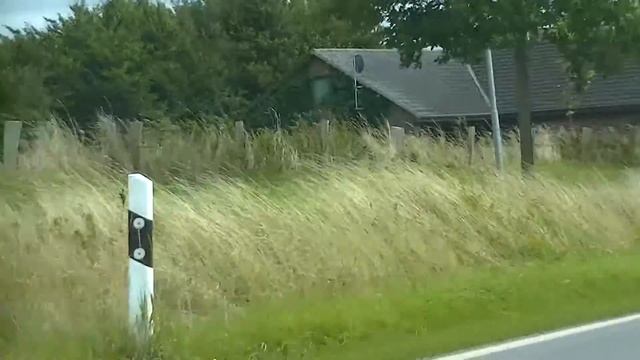 Германия ПОКУПАЕМ НАТУРАЛЬНОЕ МОЛОКО смотреть онлайн