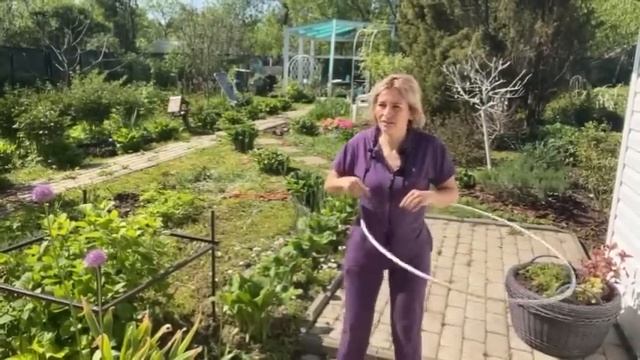 ДОБРОЕ УТРО 28.05.24/НЕМНОГО ДЛЯ СЕБЯ, НЕМНОГО ДЛЯ ДРУГИХ, МНОГО ДЛЯ САДА/ ПЛАНЫ И ОБЗОР САДА смотреть онлайн