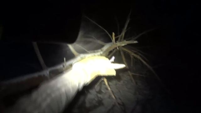 Зимний Поход смотреть онлайн