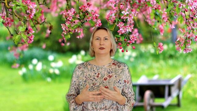 Психология с ОВ_Вина и Страх смотреть онлайн