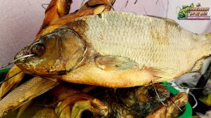 Рыбак научит вас солить сухим посолом, правильно вялить и коптить СВЕЖУЮ! речную рыбу